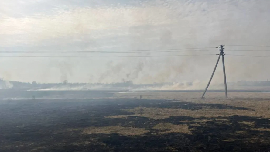 На Волині горить два гектари поля