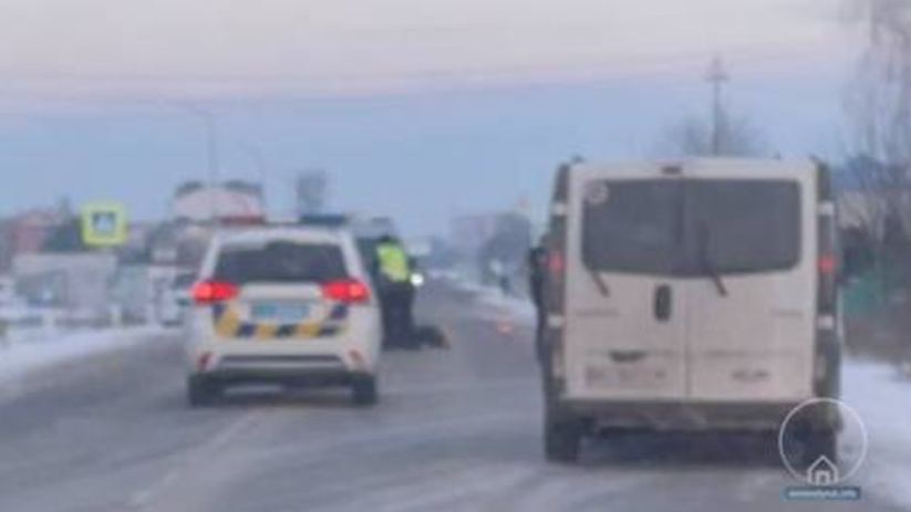 Смертельна аварія на Волині: водій буса збив пішохода і втік, його шукають