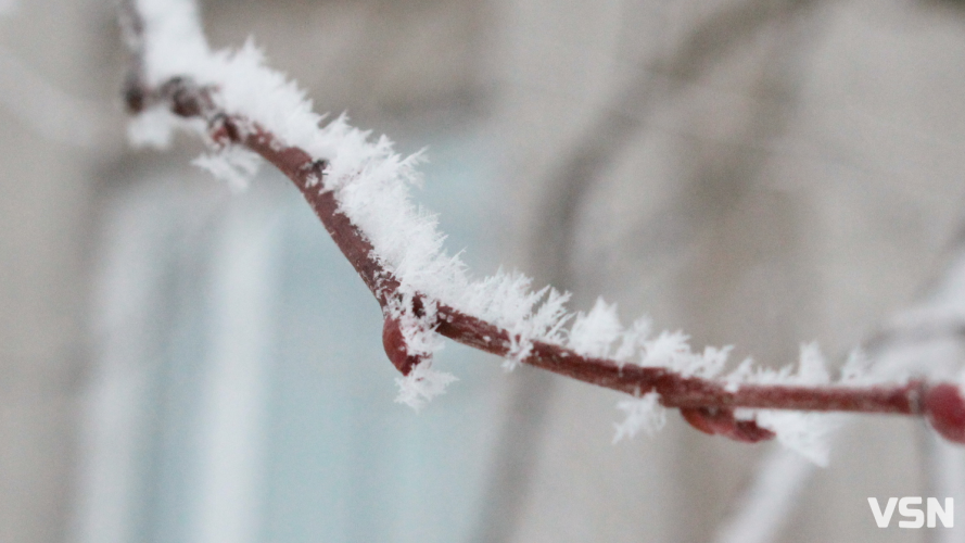 Морози повертаються: яким буде початок лютого на Волині