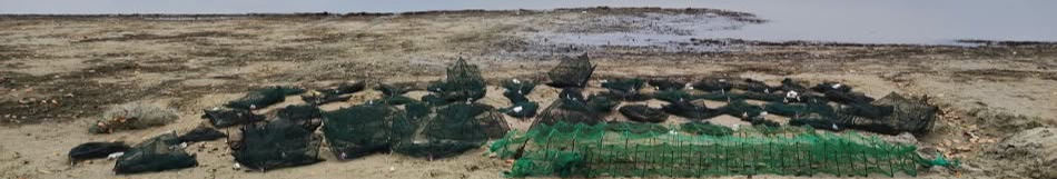 Понад 600 тисяч гривень збитків: на Волині з озера дістали заборонені пастки і врятували 185 раків