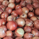 Добре родять і в посуху, і в мороз: які сорти цибулі обрати у 2026 році