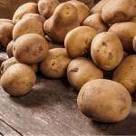 Перестаньте садити картоплю «на око»: орієнтуйтеся на одну прикмету, яка ніколи не підведе