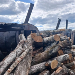 На Волині продають виробництво деревного вугілля