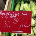 Молода кукурудза вже на волинському ринку: скільки коштує та як обрати найсолодшу