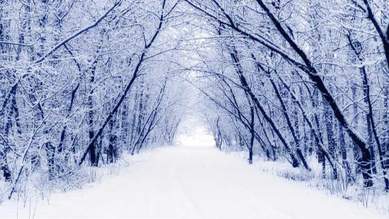 погода у грудні 2025