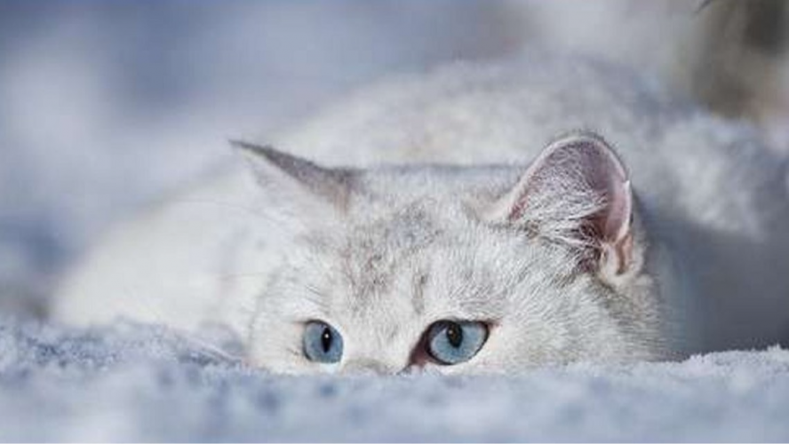 морози в Україні